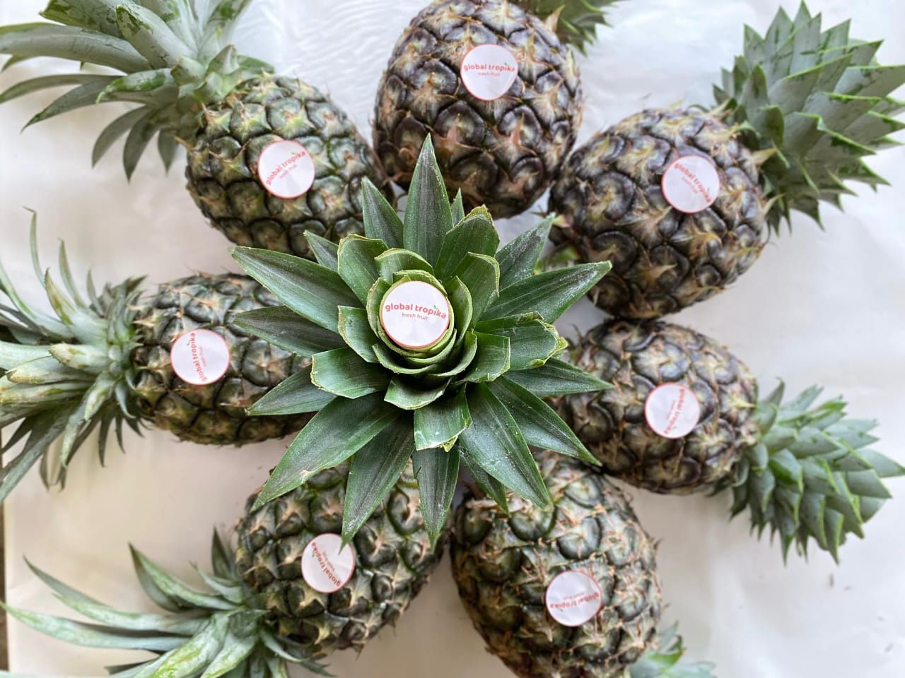 Pineapple Benefits The Tropical Superfood with a Wealth of Health Benefits