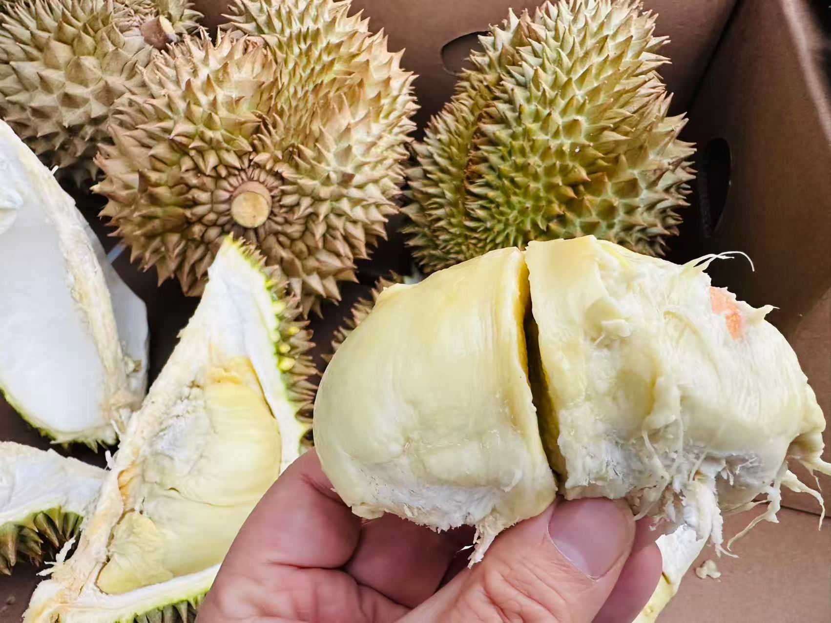 Monthong Durian The Premium "King of Fruits" with Rich Sweetness and Thick Flesh